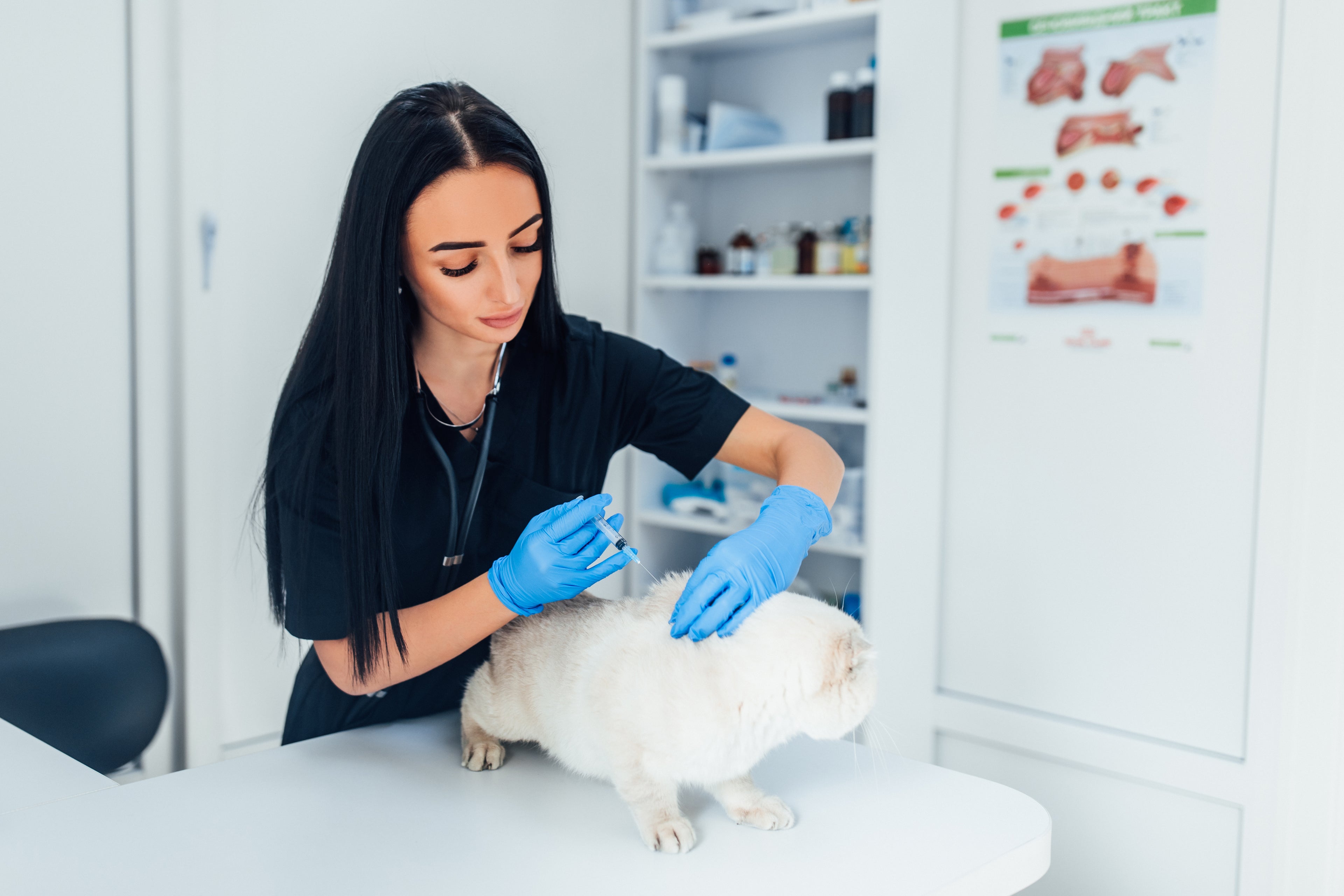Aplicación de Inyecciones-VetCare Callao